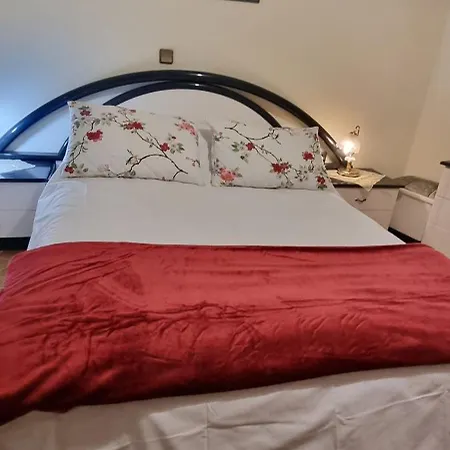 Morus 칼라브리타