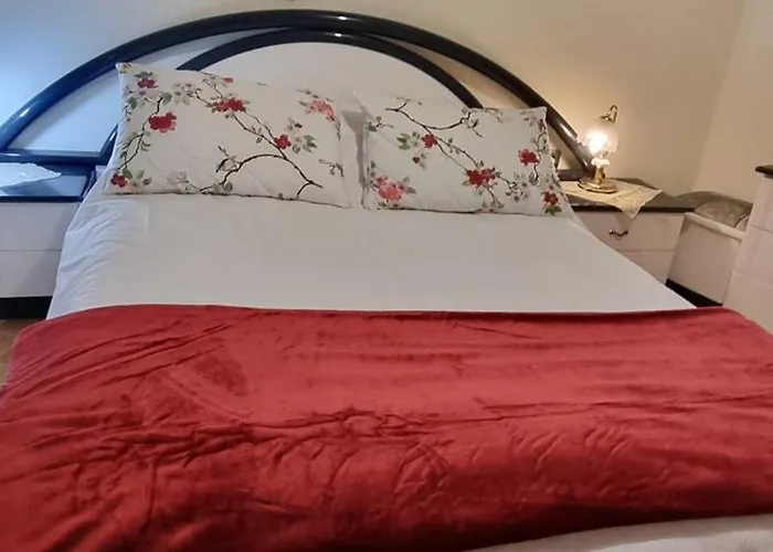 Morus Калаврита